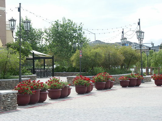PICT0292