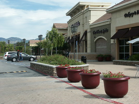 PICT0310