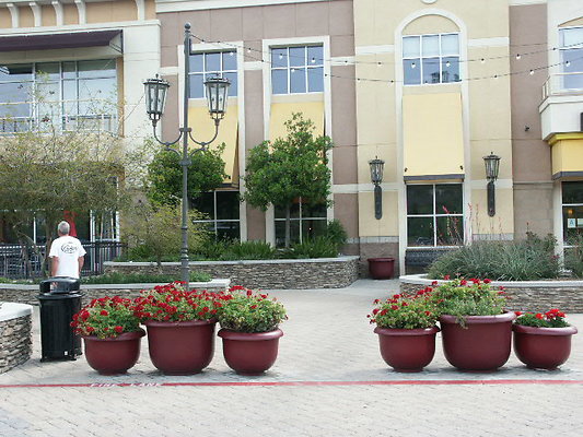 PICT0249