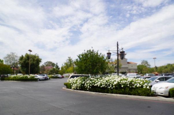 Promenade.W.Lake.37