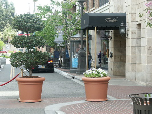 PICT0088