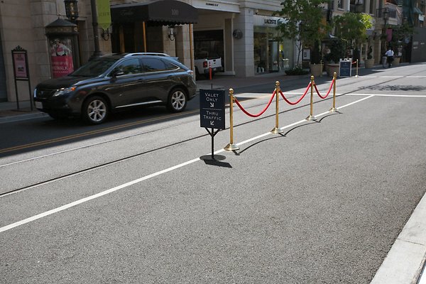 AmericanaAtBrand 2013-05-01 STST 024