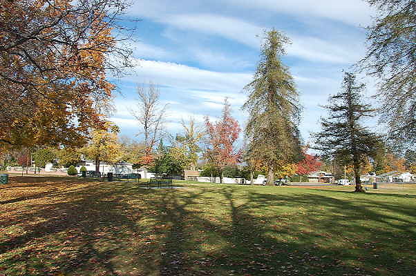 Softball Fields