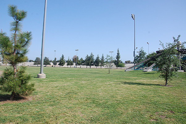 DSC 0216