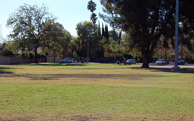 DSC 0315