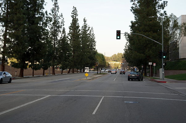 DSC09655