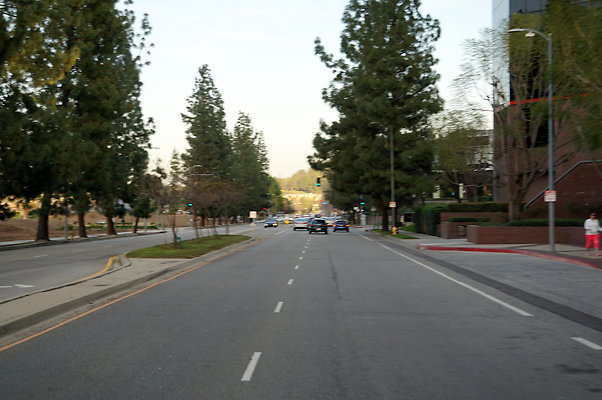DSC09653