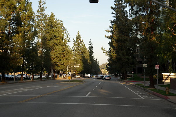 DSC09649