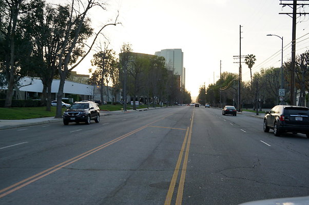 DSC09731