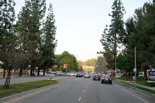 DSC09657