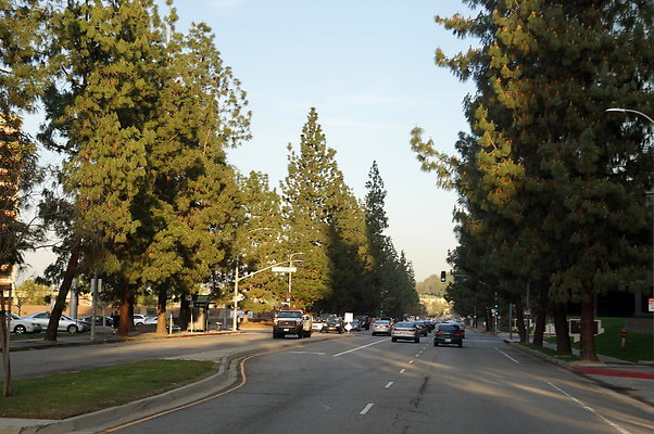 DSC09650