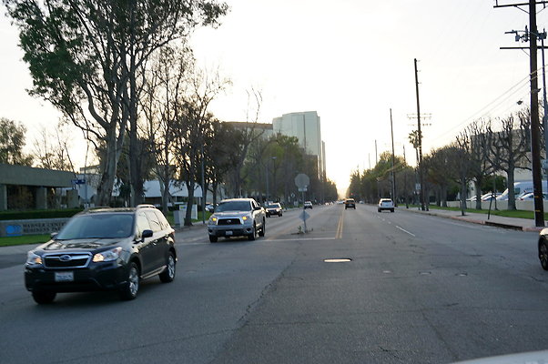 DSC09730