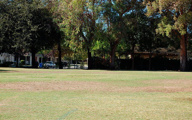 DSC 0112