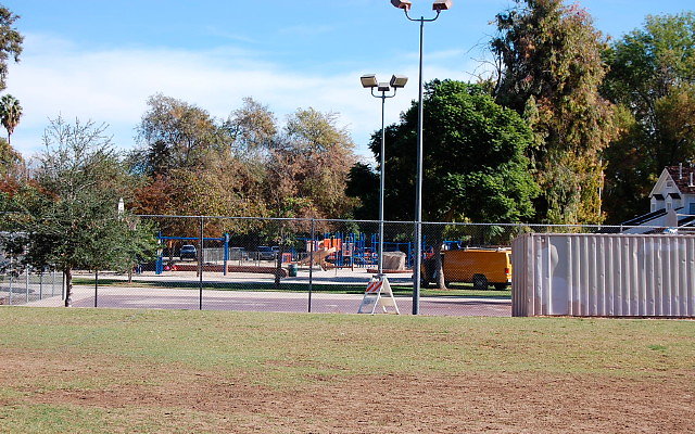 DSC 0095