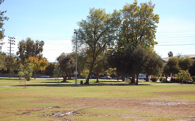 DSC 0100