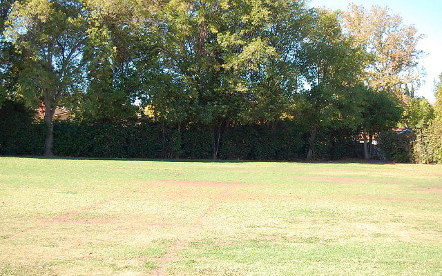 DSC 0084