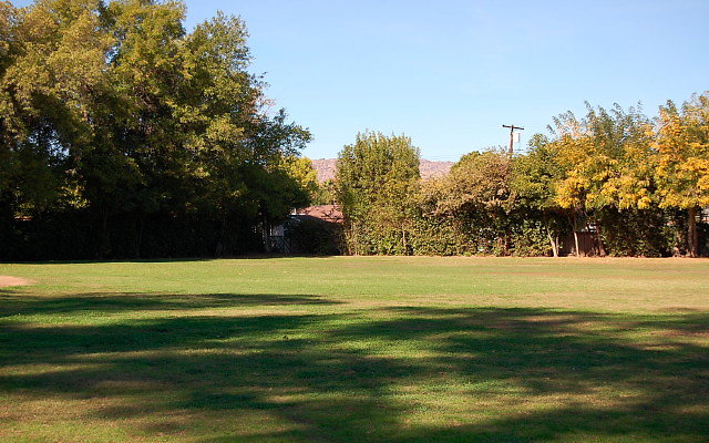 DSC 0063