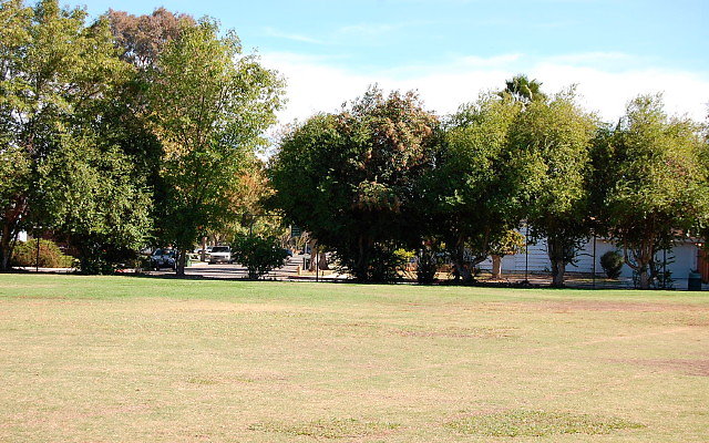 DSC 0077