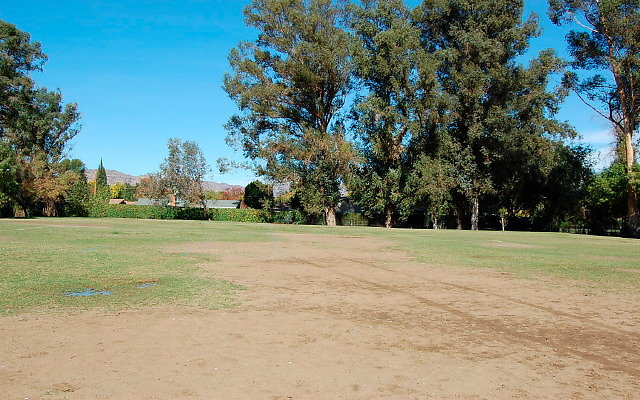 DSC 0105