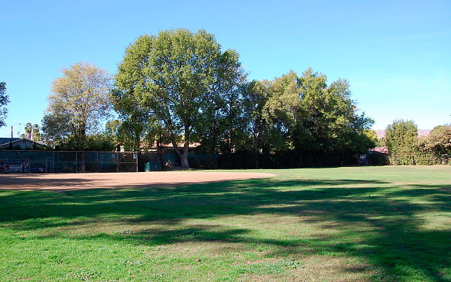 DSC 0060