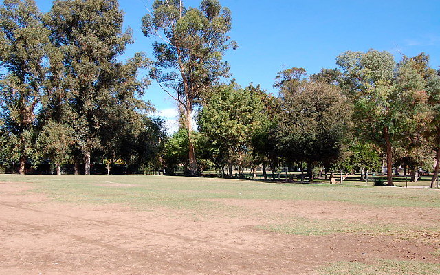 DSC 0091