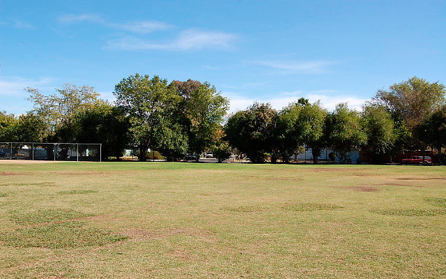 DSC 0074