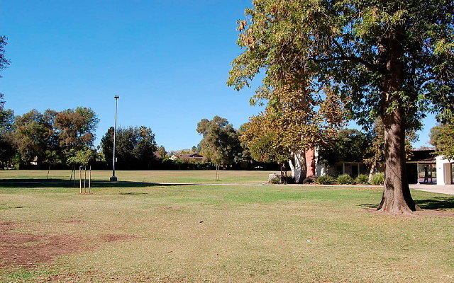 DSC 0116