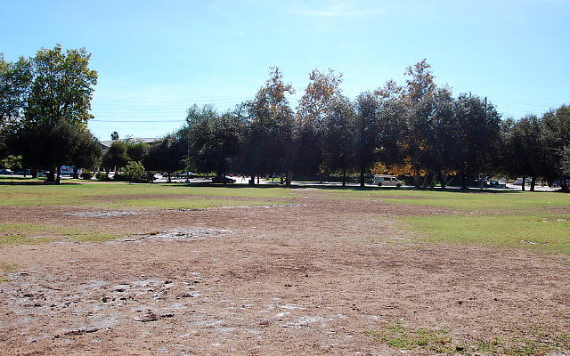 DSC 0098