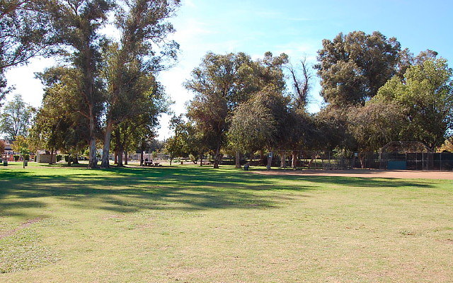 DSC 0079