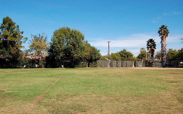 DSC 0073