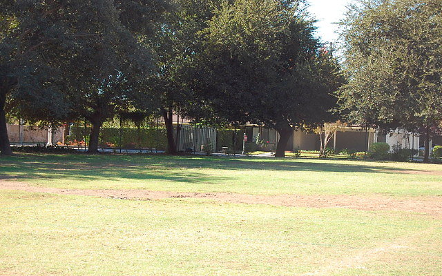DSC 0111