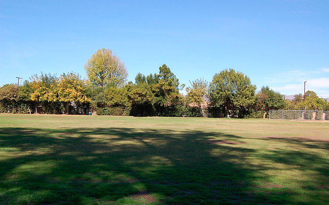 DSC 0061