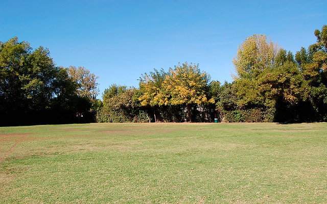 DSC 0081