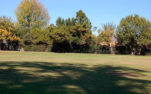 DSC 0064