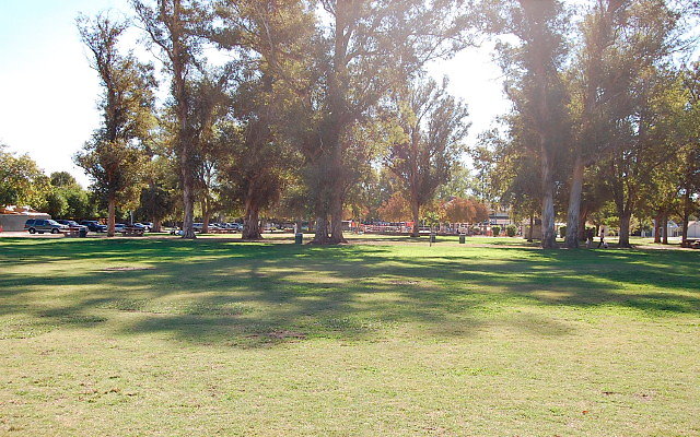DSC 0068
