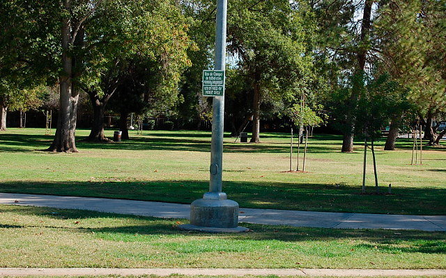 DSC 0115