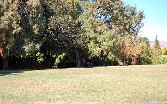DSC 0107