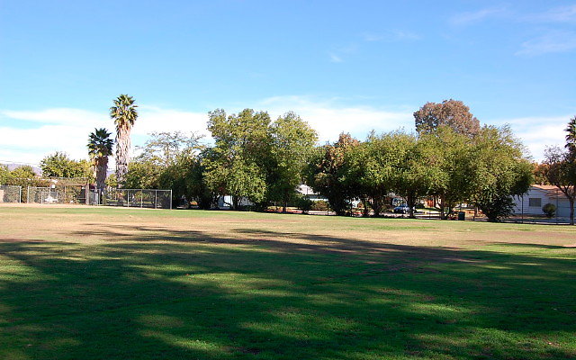 DSC 0062