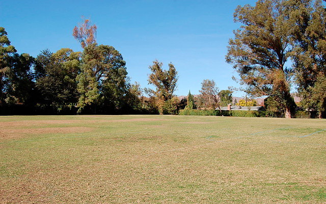 DSC 0087
