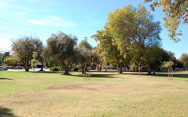 DSC 0121