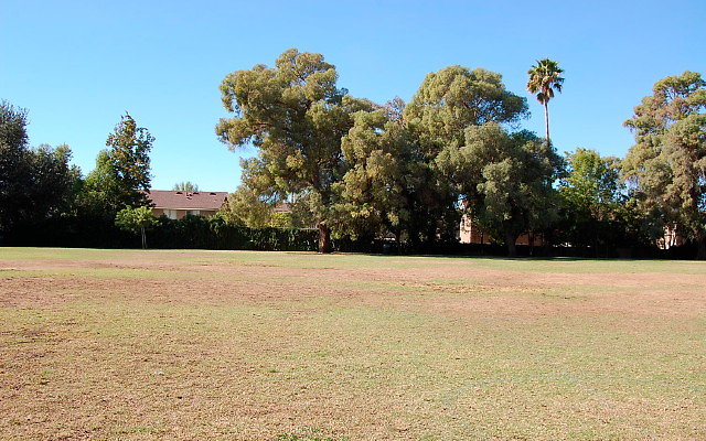 DSC 0086