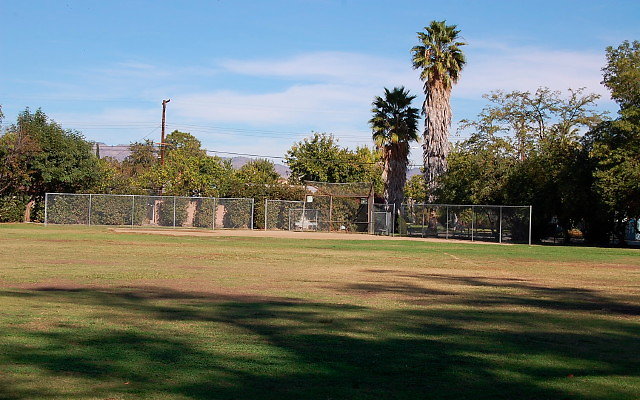 DSC 0065