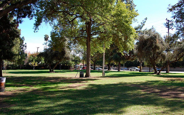DSC 0119