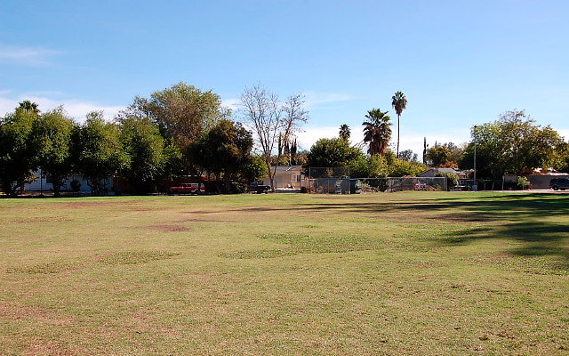DSC 0067