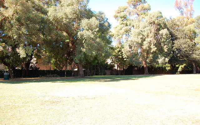 DSC 0104