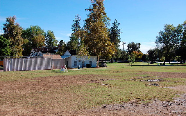 DSC 0097