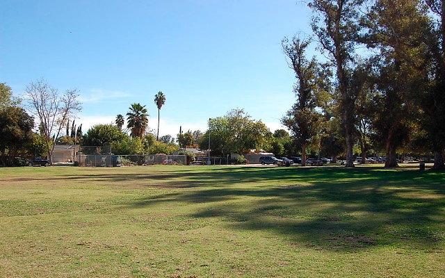 DSC 0075