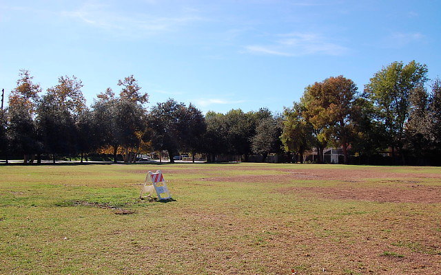 DSC 0085