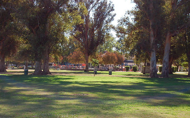 DSC 0071