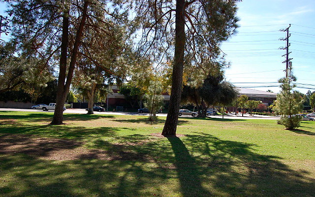 DSC 0120